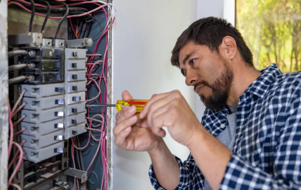 Best Generator Installation Services  in Pawnee, IL